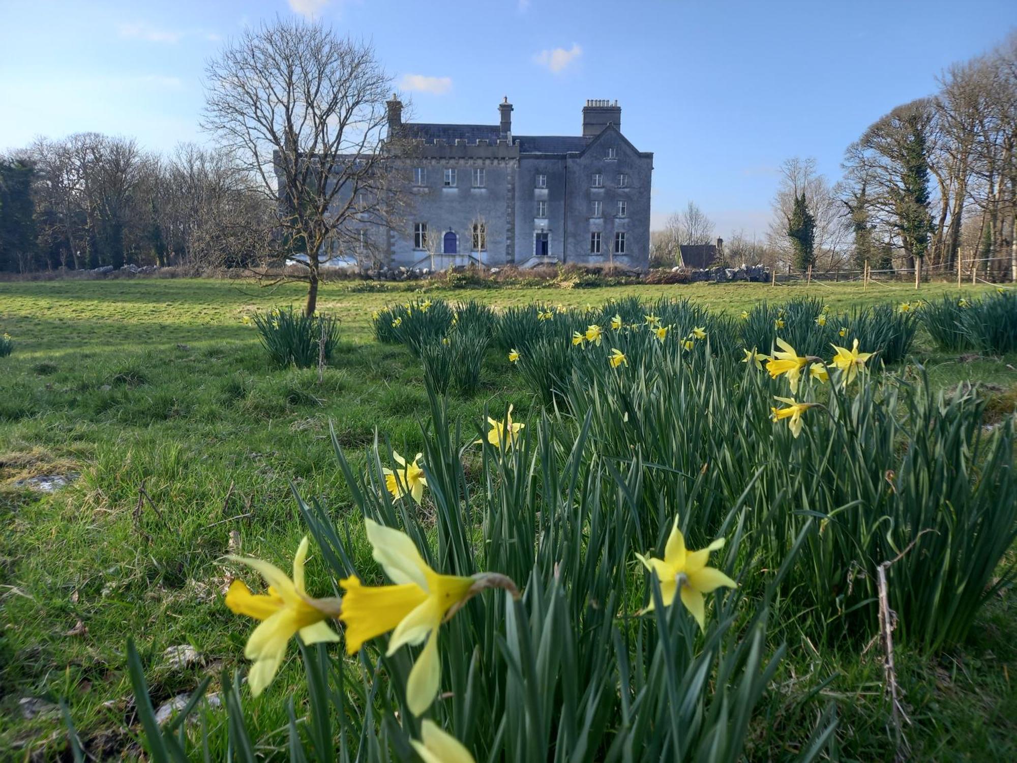 Cregg Castle Guest House Galway Exterior photo